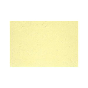 }R[ p Ɩp 3_a܂ N[_n (100) yamaco68102 Ɩp̎3TCY̘a܂ƁAN[F̖nfUC100Zbg _̕iȕ͋C