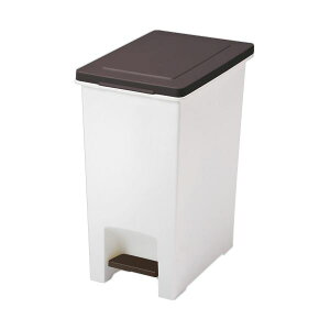 (܂Ƃ߁jAXx RhLGo y_y[ 20L uE 1y×3Zbgz  jICOubN LʔQ̃AXx RhLGo y_y[ 20L uE LɂA