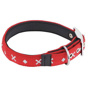 �i�܂Ƃ߁jBASIC PLUS �N���X�_�C���J���[ M ���b�h�y×3�Z�b�g�z (���p�i/���) �� �g�����f�B�ȃJ���[�x�[�X�ɁA����Ȃ邨�������v���X ���͈���BASIC PLUS �N���X�_�C���J���[ M ���b�h�y×