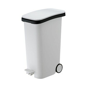 X X[Xy__Xg{bNX31 zCg DS-980-031-8 1  X[Xȑ슴ƔfUC͂̃y_S~ zCgJ[ŐoA31bg̑eʂŉK