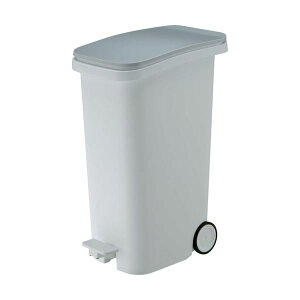 X X[Xy^_Xg{bNX31 zCg^ GBBH019 1  X[Xȃy^_Xg [ {bNX31AzCg^dグ ڂꂽԂoA