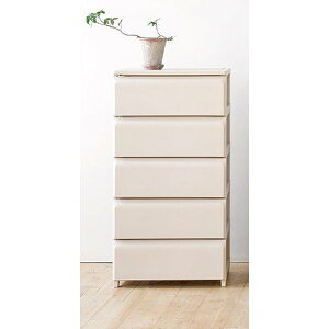 ROOM��HOME�f�C���[�g���������o�� L5�i �x�[�W�� �i�`�������J���[��5�i�����o���t���g�ݗ��Ď����� ���[ ���j�b�g�A�������₨�������X�b�L����������