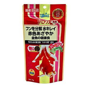 i܂Ƃ߁j vA Fg 70g y×10Zbgz Ϗ܋pt[h ̌NT|[gԐF̉a LCɕۂʂ FN₩ȋĂ邽߂̕K{ACe ̌N