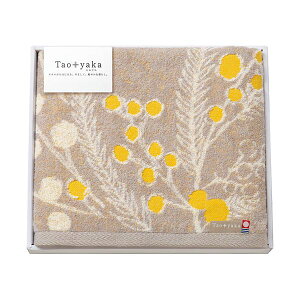 Taoyaka ~U oX^I 60×120cm C6065548 _炩ȐGSñ~UoX^IA唻TCYŎg₷ ґȃoX^Co60×120cm̏㎿^I