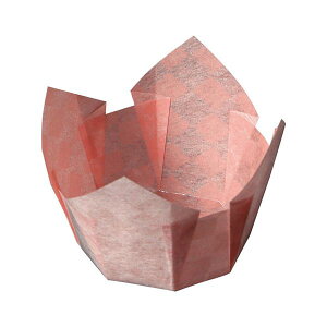 }R[ p Ɩp OPs B g~F (200) yamaco66661 Ɩp s͗l̒ ^ g~F̔ĝĂM (200)