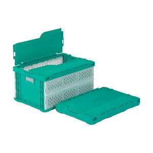 三甲 ペタンコC-41A 緑/白 SKSO-C41A-GRWH 1個 緑と白のカラーバリエーションが魅力的なペタンコC-41A 使いやすさとスタイリッシュさを兼ね備えた商品 シンプルで使い勝手の良いデザインで、整