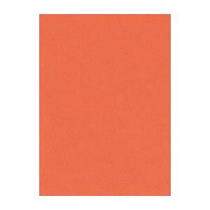 i܂Ƃ߁j ^ j[J[R lc 392×c542mm 4NCR-213  100 y×2Zbgz N₩ȃJ[pbg ʂȐFʂLp lc؃TCYő唗 392×542mm̃j[J