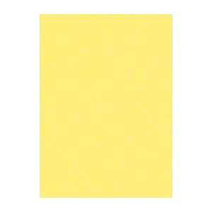 i܂Ƃ߁j ^ j[J[R lc 392×c542mm 4NCR-108  100 y×2Zbgz N₩ȃJ[pbg ʂȐFʂLp 唻TCYŃNGCeBuȕ\ F