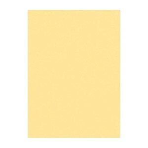 i܂Ƃ߁j ^ j[J[R lc 392×c542mm 4NCR-122 N[ 100 y×2Zbgz N₩ȃJ[pbg 61F ^A܂Ŗ̂悤ȐFp lc؃TCY