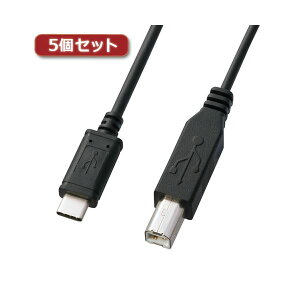 5個セット USB2.0TypeC-Bケーブル 配線 KU-CB20X5 高速充電対応 2メートルのブラックUSBケーブル 配線 5本セット USB2.0タイプCとUSB2.0Bコネクタを搭載し、USB認証済み データ転送も充電もこれ1本でOK 便