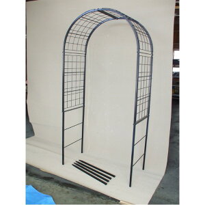 K[fA[`/t[A[` y100cmz  X`[ ppCv { Y wNg(At@)x k| K[fjOpil Km炸̓dĕthŁAʂȒPg