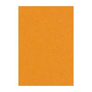 i܂Ƃ߁j ^ j[J[R c 271×c392mm 8NCR-210 ǂ 100 y×2Zbgz N₩ȃJ[pbg ʂȐFʂLpy61Fzc؃TCYő唗 ^̃j