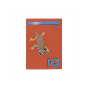 i܂Ƃ߁j ɓ oCIgbvJ[ A4 500 80g^m2 BT519 ubNbh y×2Zbgz  ̗ʈ N₩ȐFʂLv~AJ[y[p[ ܂Ƃ߂Ă500 d