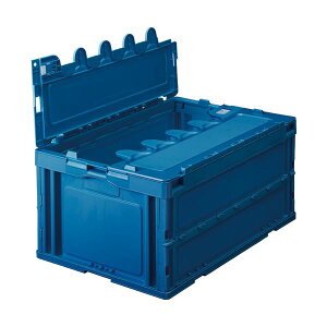 i܂Ƃ߁j TANOSEE ܂肽݃Rei t^t 50L _[Nu[ 1 y×2Zbgz  Xy[XLp  [ ȒP ֗Ȑ܂肽݃Rei _[Nu[̃t^t50Le 2Zb