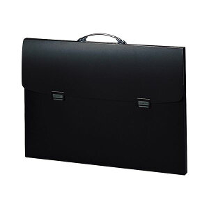 (܂Ƃ) qgu |[gtHIEiXJtbNX A2  F-914 1 y×2Zbgz fUC̔閧閂@̃P[X vdl̃A[g|[gtHI A2TCY  fUCi[̐S𖞂