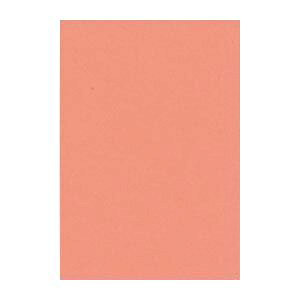 i܂Ƃ߁j ^ j[J[R c 271×c392mm 8NCR-127 T[ 100 y×2Zbgz N₩ȃJ[pbg ʂȐFʂy61F̓p 唻TCYŃNGCeBuȕ\