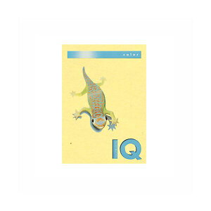 �i�܂Ƃ߁j �ɓ��� �o�C�I�g�b�v�J���[ A4�� 250���� 120g�^m2 BT703 �C�G���[ �y×2�Z�b�g�z �� �����̗��ʈ�� �N�₩�ȐF�ʂ��L����A���i���J���[�y�[�p�[ A4�T�C�Y��250������A����120g�^m2��B