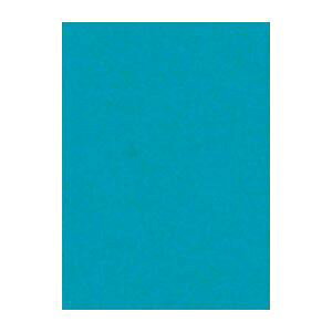 �i�܂Ƃ߁j ���^�� �j���[�J���[R �l�c�� ��392×�c542mm 4NCR-326 ���������� 100���� �y×2�Z�b�g�z �N�₩�ȐF�ʂ��L���� ������61�F��p�� �唻�T�C�Y�őn���͂��������� ���^���̃j���[�J���[R