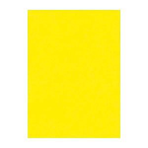 (まとめ) 文運堂 ニューカラーR 全判 横788×縦1091mm 10-319 レモン 10枚入 【×2セット】 鮮やかなカラーパレットが広がる 全判サイズの10枚巻きカラー画用紙 ビビッドな色彩で創造力を刺激 文