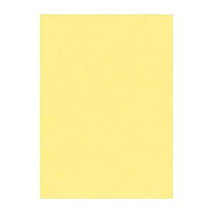 i܂Ƃ߁j ^ j[J[R S 788×c1091mm 10-101 N[ 10 y×2Zbgz N₩ȐFʂ61FASTCY10őA^̃j[J[R 唻788×1091mmŁAN[