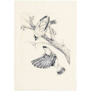 (܂Ƃ) PP(}bg/ŉ)  360×240×0.5mm ЖʃXH y×40Zbgz wZpA[gZbg 40Zbg Ő}HHp }bgŔŉy߂ TCY360×240×0