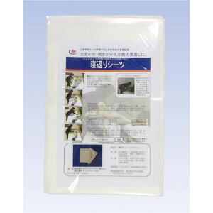 ˕ ڏ{[hEV[g QԂV[c(Ch^Cv) AKN-0502 KȈړƈS S ȐQԂT|[gAvVIȃ{[hV[g R݂ȈړƉ  郏Ch^