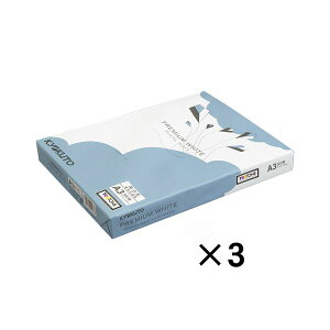 i܂Ƃ߁j LNgEEA\VGCc v~ARs[p v~AzCg PPC p\R KA3 500×3 y×2Zbgz  Iׂ3̎ŁAprɍ킹ċɏ̃Rs[̌ v