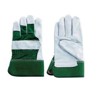 (܂Ƃ) xmO[u #181 O[ L 1824 1o y×10Zbgz  ϋv  ŃptȎdɍœK ϋvQ̃O[LTCY10Zbg܂Ƃߔ p 