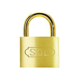 i܂Ƃ߁j SOLV_[싞2500SD-25 1y×10Zbgz ϋv  ȃZLeB񋟂 SOLV_[싞2500SD-25 10Zbgłɂ S S ̕iŁA؂