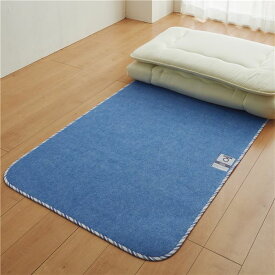 【西川】 ベッド・布団用 除湿シート 【シングル】 約90×180cm シリカゲル 吸湿センサー付き サラネル 〔ベッドルーム 寝室〕 【西川】 ベッド・布団用 除湿シート 【シングル】 約90×180cm シリカゲル 吸湿センサー付き サラネル 〔ベッドルーム 寝室〕
