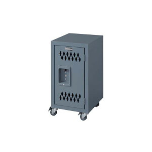  [ I rO [ 30.5cm STCY O[ LX^[t ړ\ ԗ֕t bN  X`[ `FXg ^X Lrlbg rO X CeAƋ Xy[XL