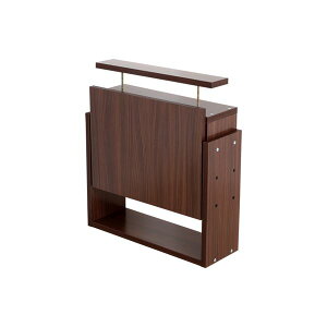 単品 コレクションケース ショーケース /整理 収納 棚 レギュラー 専用上置き 【ロータイプ 低い 奥行19cm用 ブラウン】 幅54.1cm 本体別売 【お客様組立品】 茶 スペースセーバーのロータイプ