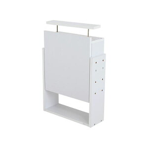 Pi RNVP[X V[P[X / [ I M[ pu ynC^Cv  s19cmp zCgz 54.1cm {̕ʔ yqlgiz  Xy[XLp s19cm