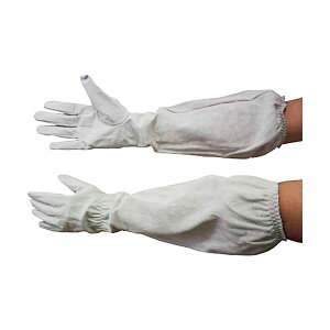 Yf z[P I܂Œ`v L 55697 1o ؖ{v U[ gp߂̎ ʎ̙nɍœK I܂łƕی