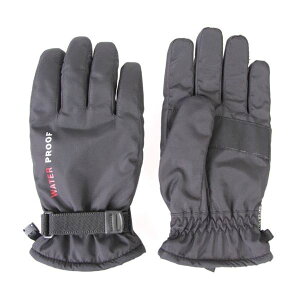 hCi[ O[u/ yfB[X 10gZbg 5235z ubN 22×10×3cm khpi ΍l  ʋ΁EʊwɍœKȖhnhEH[}[ hCi[̃O[uŎ