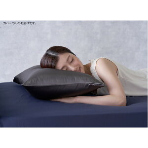 Pi Jo[ Q 43×63cm _[NO[ Jo[̂ {̕ʔ  Silk Collection VN100 Jo[ xbh[ ɂ̉AVRVN100̎̃s[Jo[ Cz