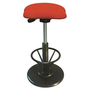 _ Xc[ o[`FA JE^[`FA /ۈ֎q (CX `FA) ytbgXgt bh×ubNz 33cm { Y   ̂ɃtBbgKȓ{`FA R݂ɓ