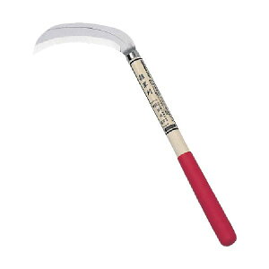 L{V (ipnE)NO1645 1 S S Ƃ̕Ki nʎC[̑芙 nɒiĎ (ipnE)NO1645