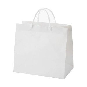 (まとめ)HEIKO 広口チャームバッグ M-1 10枚 6442100【×2セット】 魅力溢れる広口チャームバッグ M-1 10枚セット あなたのスタイルを引き立てる最高のアイテム