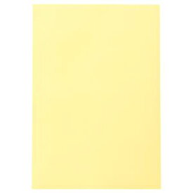 （まとめ） TANOSEE 色画用紙 八つ切 クリーム 1パック（10枚） 【×30セット】 クリーム色の魅力が溢れる 多様な用途に対応する、ノート・ふせん・紙製品 画用紙・模造紙・その他工作・装飾用品の新定番 TANOSEE 色画用紙 八つ切 クリーム 1パック（10枚）【×30セット】