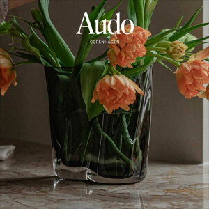 G[x[X 19 X[N KAi k CeA  Audo Ih[ ʔ ԕr t[x[X  t[AWg@u[P@