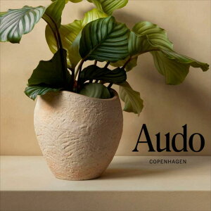 v^Xv^[@H24 AC{[ KAi k CeA  Audo Ih[ ʔ Aؔ Jo[  ϗtA uh _CeA fUCi[uh