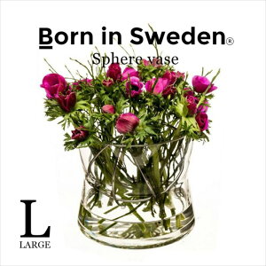 kG Born in Sweden XtBAEx[XiLj XeX/Rbp[/S[h Sphere Vase ԕr  lC