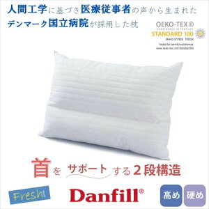   iK   j Xg[glbN d 傫 񂱂 ΍ 2i\ ze lbNs[ Danfill _tB ʔ KAi k CeA  45cm×65cm