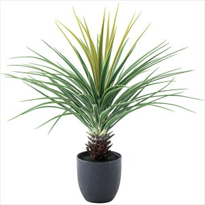 tFCNO[ AlHϗtA ~jpCibv 67cm t CeA [t  K[f  ȒP  @ډB rO   ItBX ϗtA