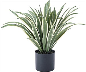tFCNO[ AlHϗtA AKx 50cm t CeA [t  K[f  ȒP  @ډB rO   ItBX ϗtA
