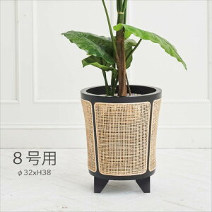 v^[Jo[ 8p@@ϗtAȂǂɁ@Vv AWAeCXg VR؁@^ J  lC