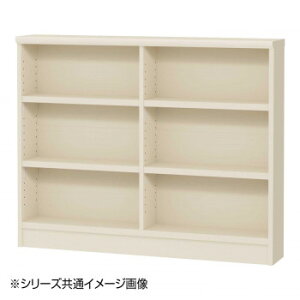 TAIYO OWR I[_[ChbN 9085X zCg(WH)