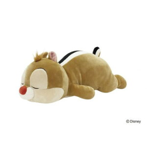 Ԃ͂Ɓ@`nO(fBYj[)@ D910@܂S@f[@50012-09