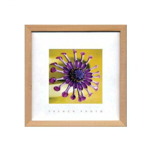 フレンチ フォトアート Violet Green ZFP-51885